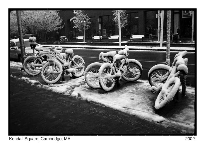 Bicycles in the snow